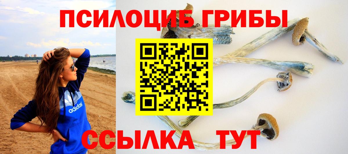 Галлюциногенные грибы Magic Shrooms  Псилоцибиновые грибы Cubensis  Елизово  наркошоп  Вход с VPN 